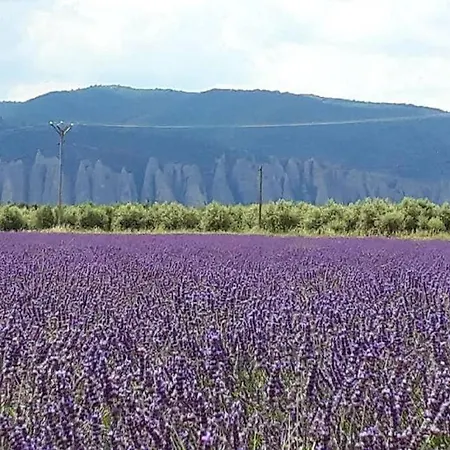 Vakantiehuis Le Du Jas Vieux Montfort (Alpes-de-Haute-Provence)