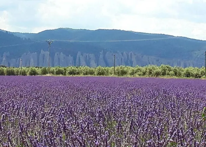 Holiday home Le Du Jas Vieux Montfort (Alpes-de-Haute-Provence)